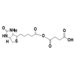 磷脂脂质体-PEG衍生物 陕西星贝爱科生物赋能生物试剂新选择