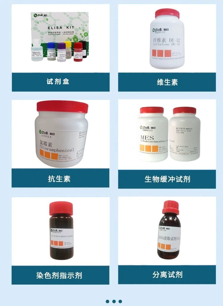 基于明确酶学的多酚氧化酶（酪氨酸酶）研究 蘑菇来源 9002-10-2 在博美生物等试剂体系下的科研实验应用解析