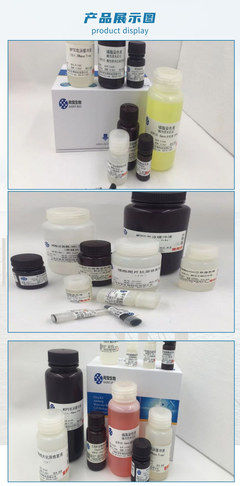 线粒体DNA提取试剂盒 生物试剂中的精密工具与实验关键